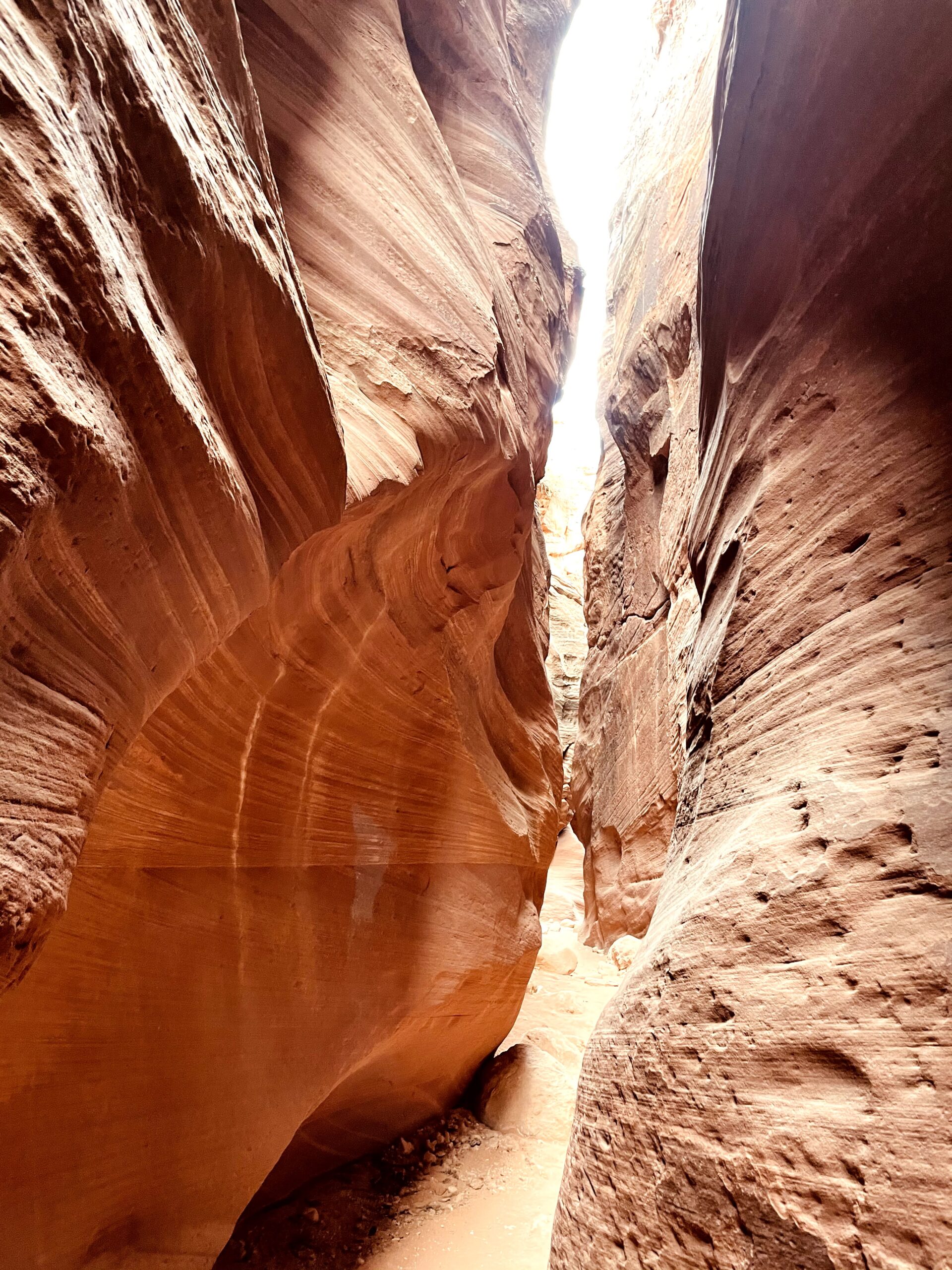 Wire Pass Trail Arizona