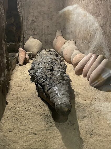 The crocodile god Sobek at Kom Ombo temple Egypt