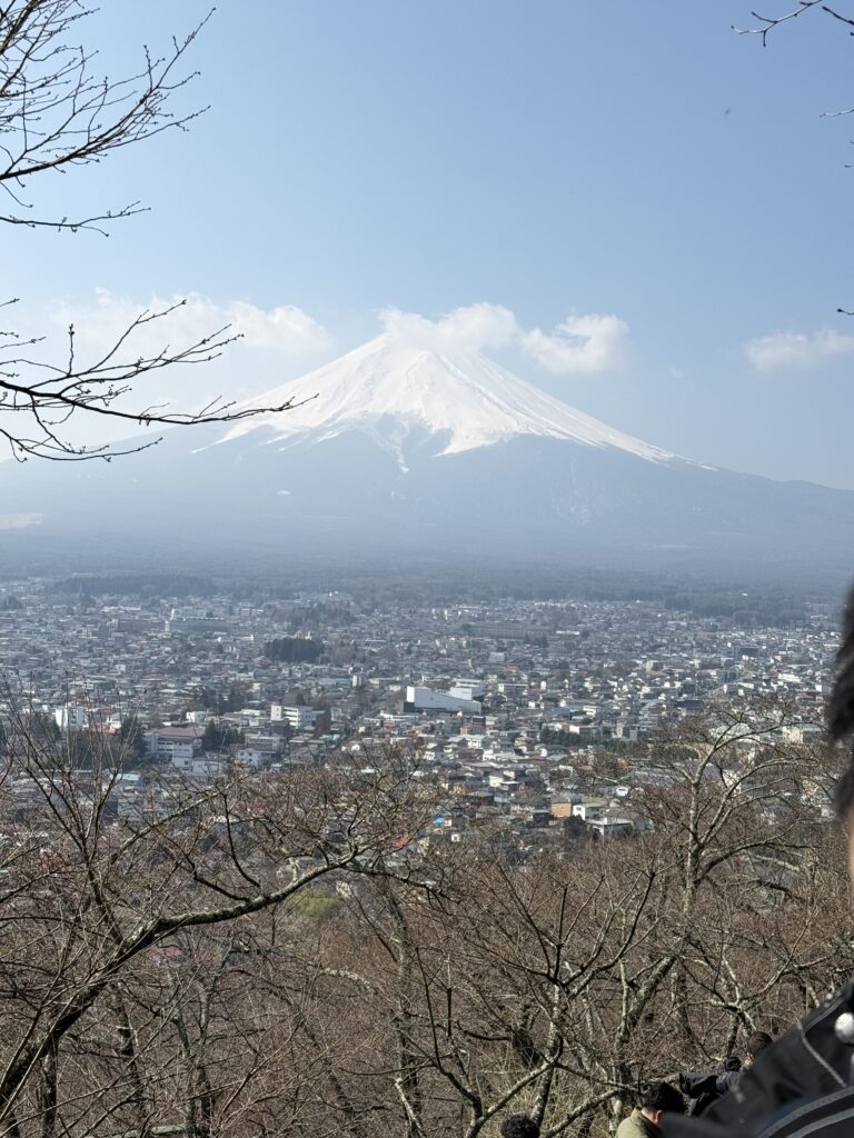 Snow-capped Mount Fuji rising over the town with cherry tree branches in the foreground, viewed from Arakurayama Sengen Park