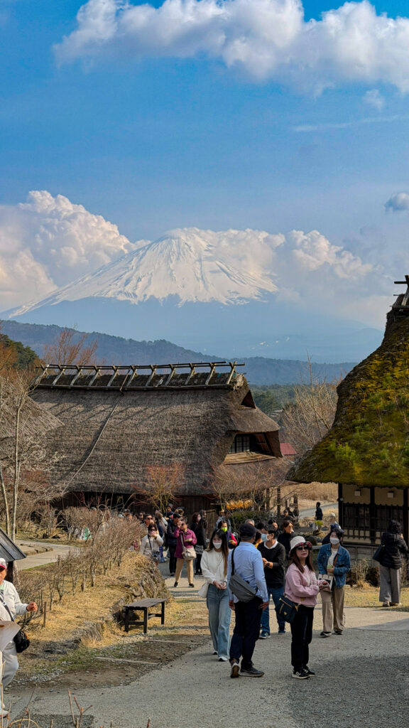 Thatched-roof houses at Saiko Iyashi-no-Sato Nenba village with Mount Fuji in the background