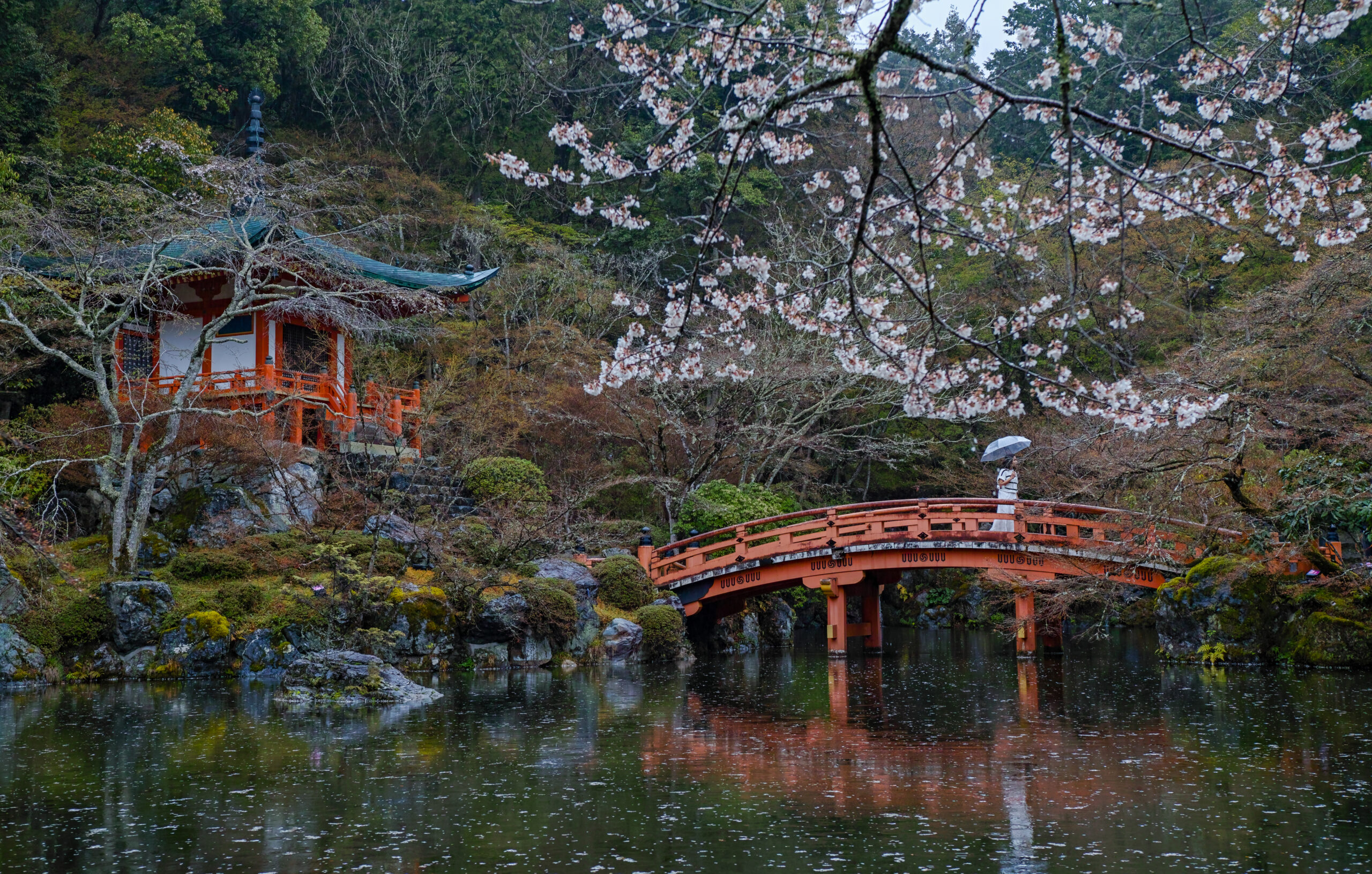 Red arched bridge over a pond with cherry blossoms at Daigo-ji, Kyoto